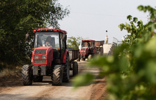 Российское виноделие: результаты 2024, векторы 2025