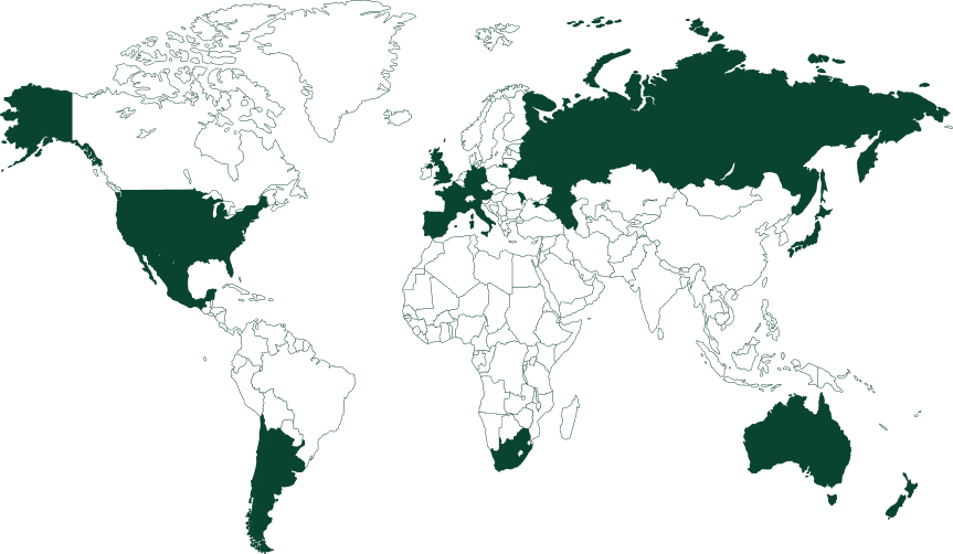 МЕЖДУНАРОДНЫЕ ПАРТНЁРЫ