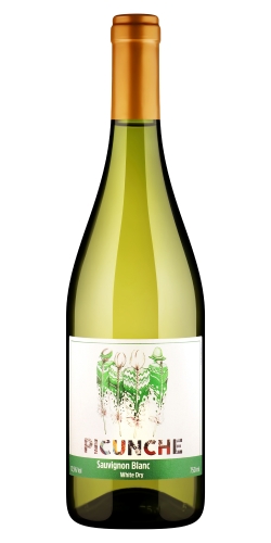 Вино Пикунче Совиньон Блан