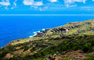 Сицилия: винная карта острова